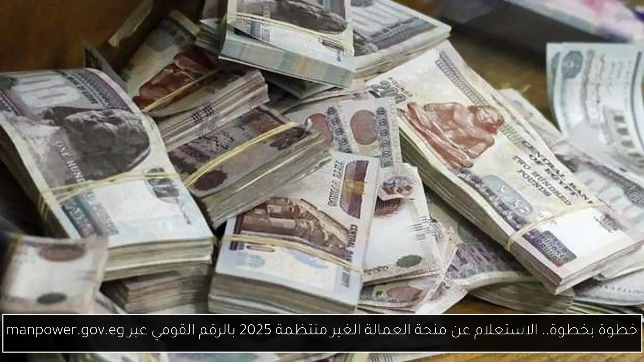 الاستعلام عن منحة العمالة الغير منتظمة 2025