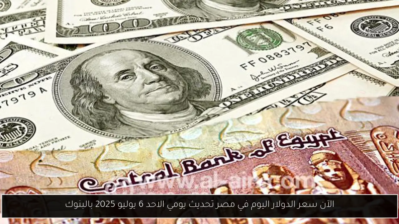سعر الدولار اليوم في مصر تحديث يومي