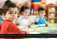الاستعلام عن نتيجة تنسيق رياض الأطفال بالرقم القومي