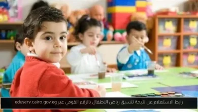 الاستعلام عن نتيجة تنسيق رياض الأطفال بالرقم القومي