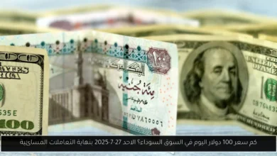 كم سعر 100 دولار اليوم في السوق السوداء؟