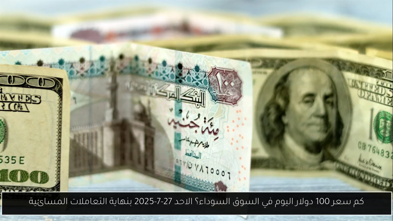 كم سعر 100 دولار اليوم في السوق السوداء؟