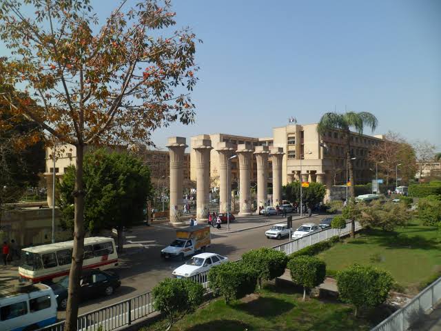 جامعة عين شمس الأهلية