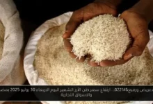 ارتفاع سعر طن الأرز الشعير اليوم