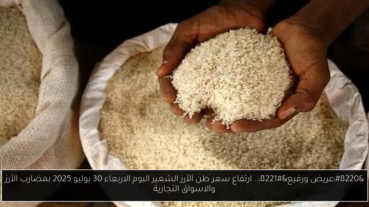 ارتفاع سعر طن الأرز الشعير اليوم