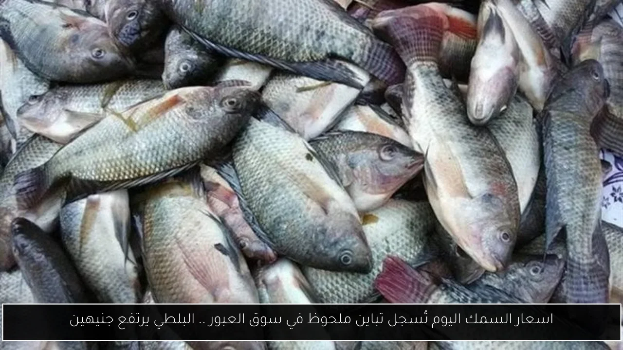 اسعار السمك اليوم