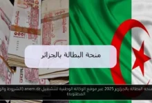رابط منحة البطالة