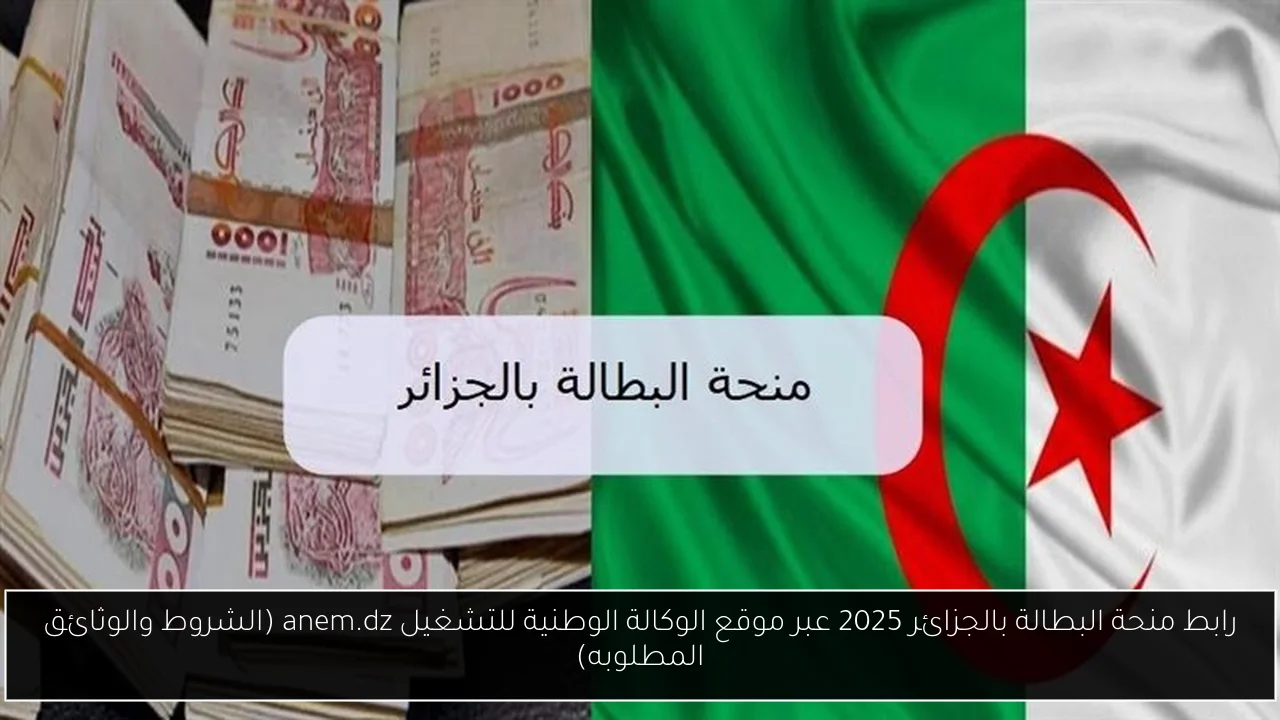 رابط منحة البطالة