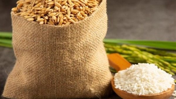 سعر طن الأرز الشعير اليوم
