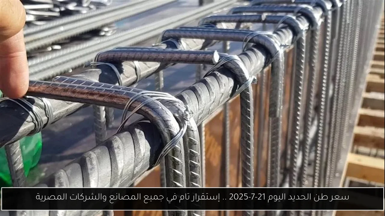 سعر طن الحديد اليوم