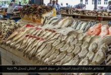 اسعار السمك