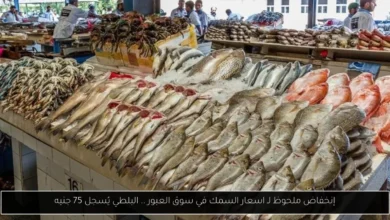 اسعار السمك