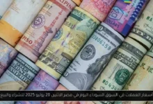 أسعار العملات في السوق السوداء اليوم في مصر