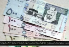 سعر الريال السعودي مقابل الجنيه المصري
