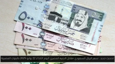سعر الريال السعودي مقابل الجنيه المصري