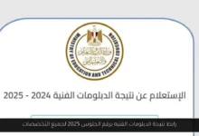 نتيجة الدبلومات الفنيه برقم الجلوس 2025