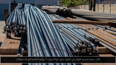 سعر الحديد اليوم في مصر حديد عز