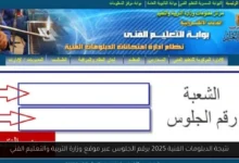 نتيجة الدبلومات الفنية 2025