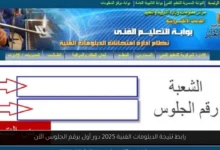 نتيجة الدبلومات الفنية 2025 دور أول