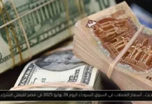 أسعار العملات في السوق السوداء اليوم في مصر
