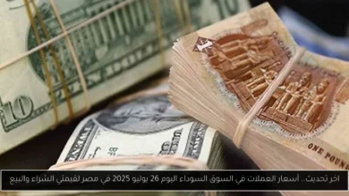 أسعار العملات في السوق السوداء اليوم في مصر