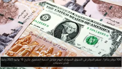 سعر الدولار في السوق السوداء اليوم 