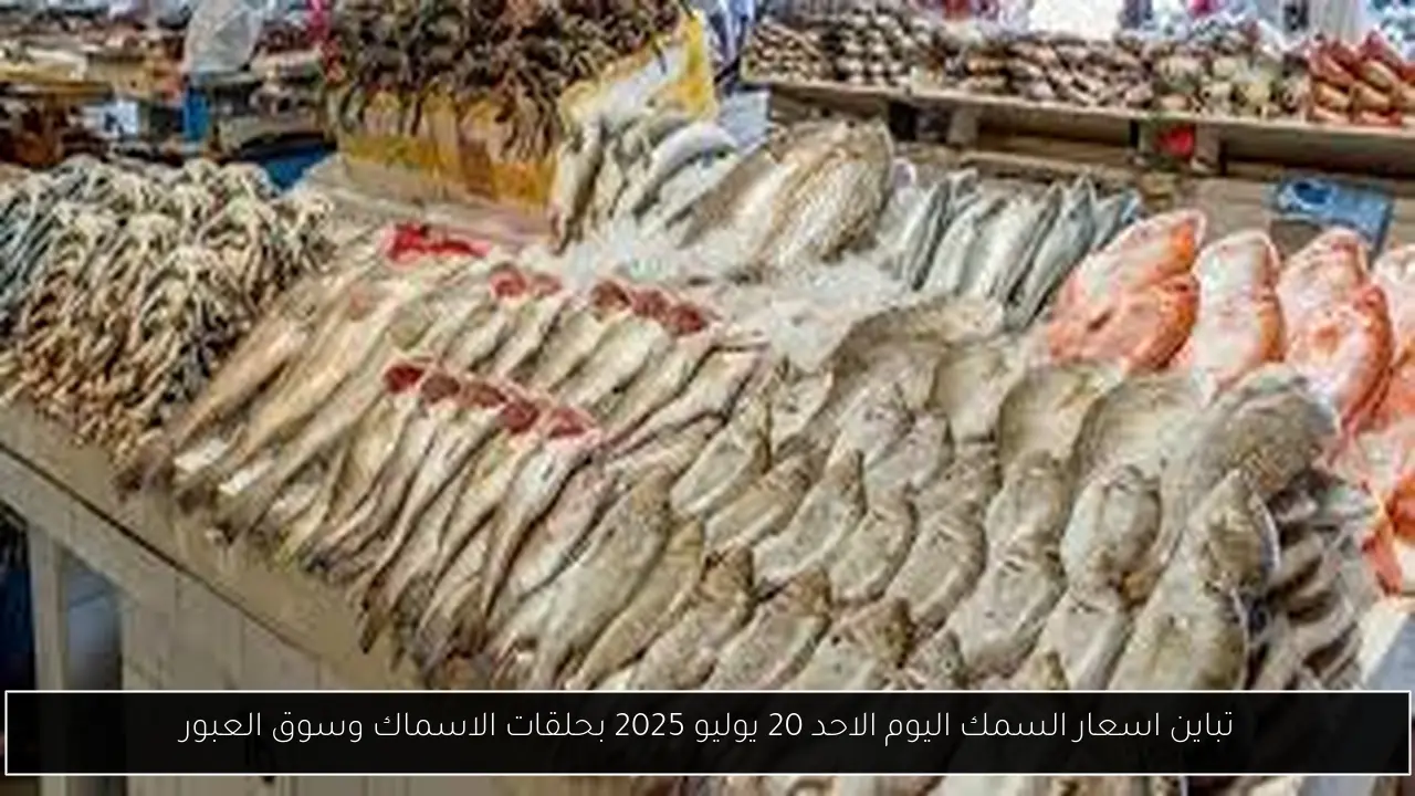 اسعار السمك اليوم