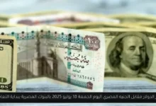سعر الدولار مقابل الجنيه المصري اليوم 