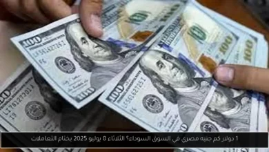 1 دولار كم جنيه مصري في السوق السوداء؟