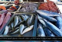 اسعار السمك اليوم