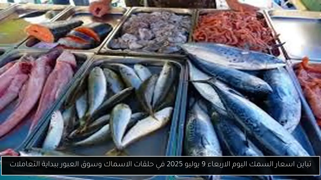 اسعار السمك اليوم