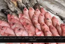 اسعار السمك اليوم