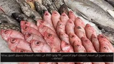 اسعار السمك اليوم