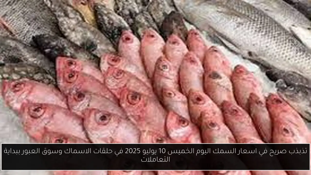اسعار السمك اليوم