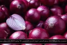 سعر البصل اليوم الجديد
