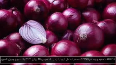 سعر البصل اليوم الجديد
