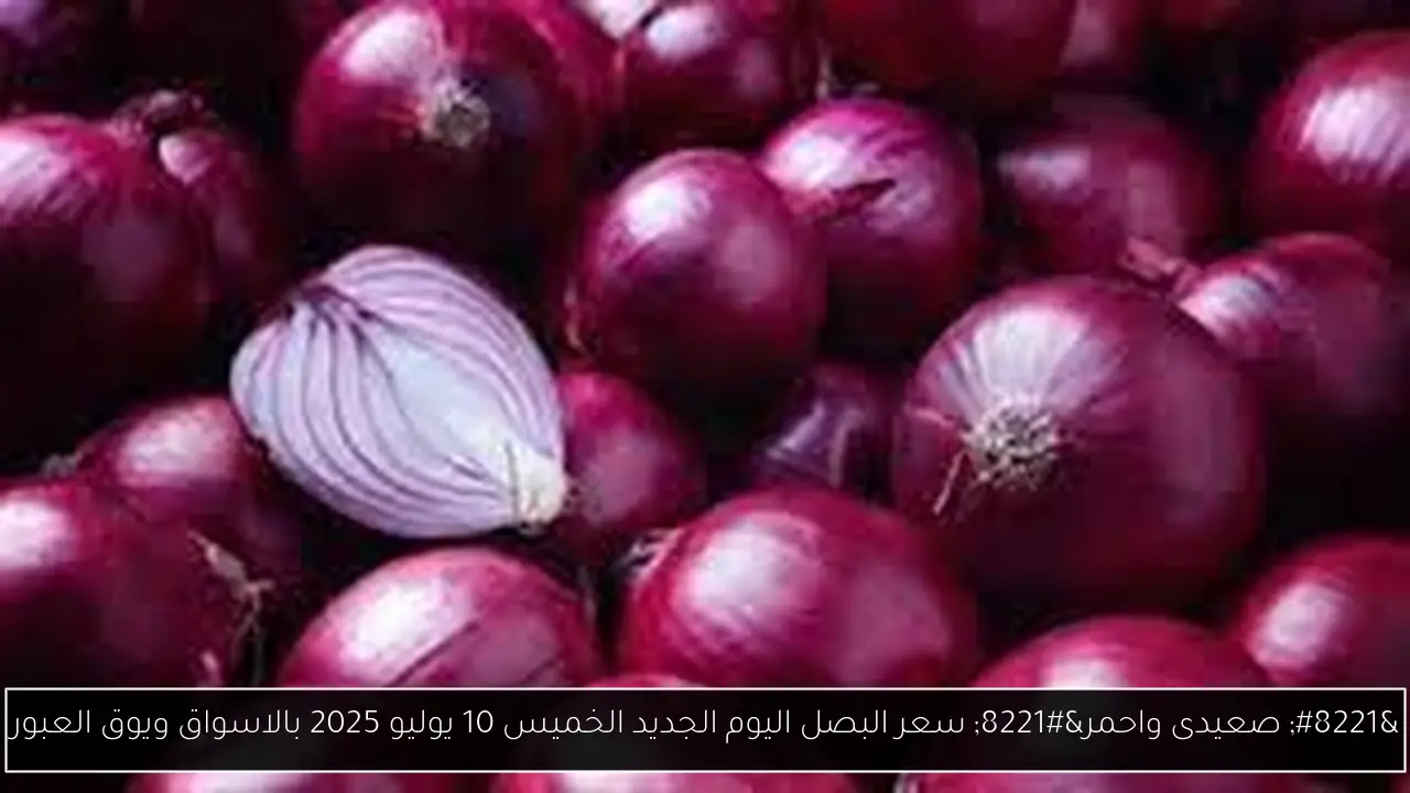 سعر البصل اليوم الجديد