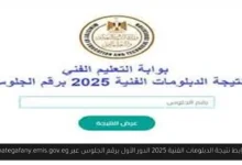 نتيجة الدبلومات الفنية 2025 الدور الأول برقم الجلوس