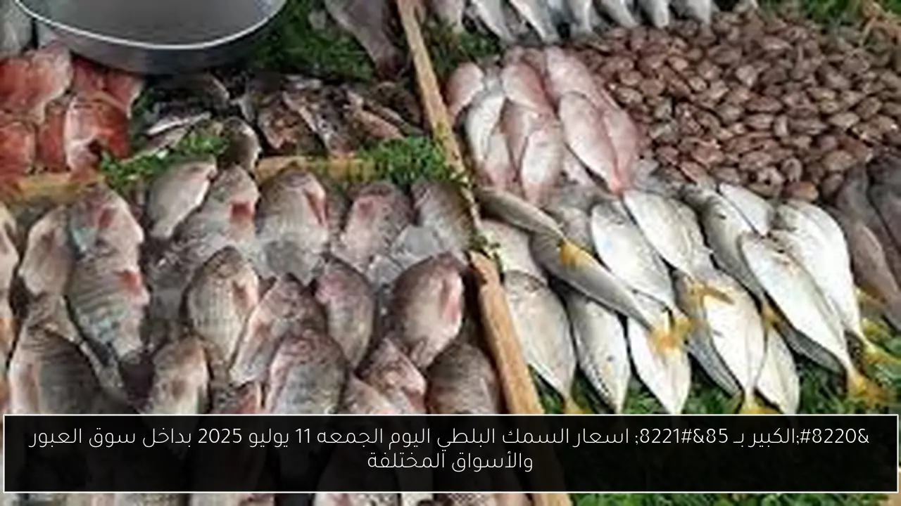 اسعار السمك البلطي اليوم
