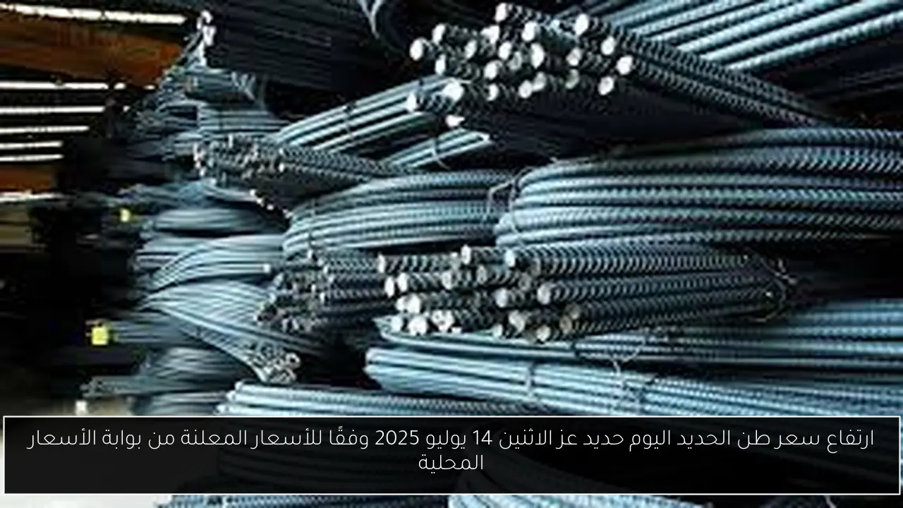 سعر طن الحديد اليوم حديد عز
