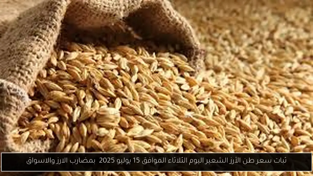 سعر طن الأرز الشعير اليوم