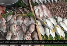 اسعار السمك اليوم