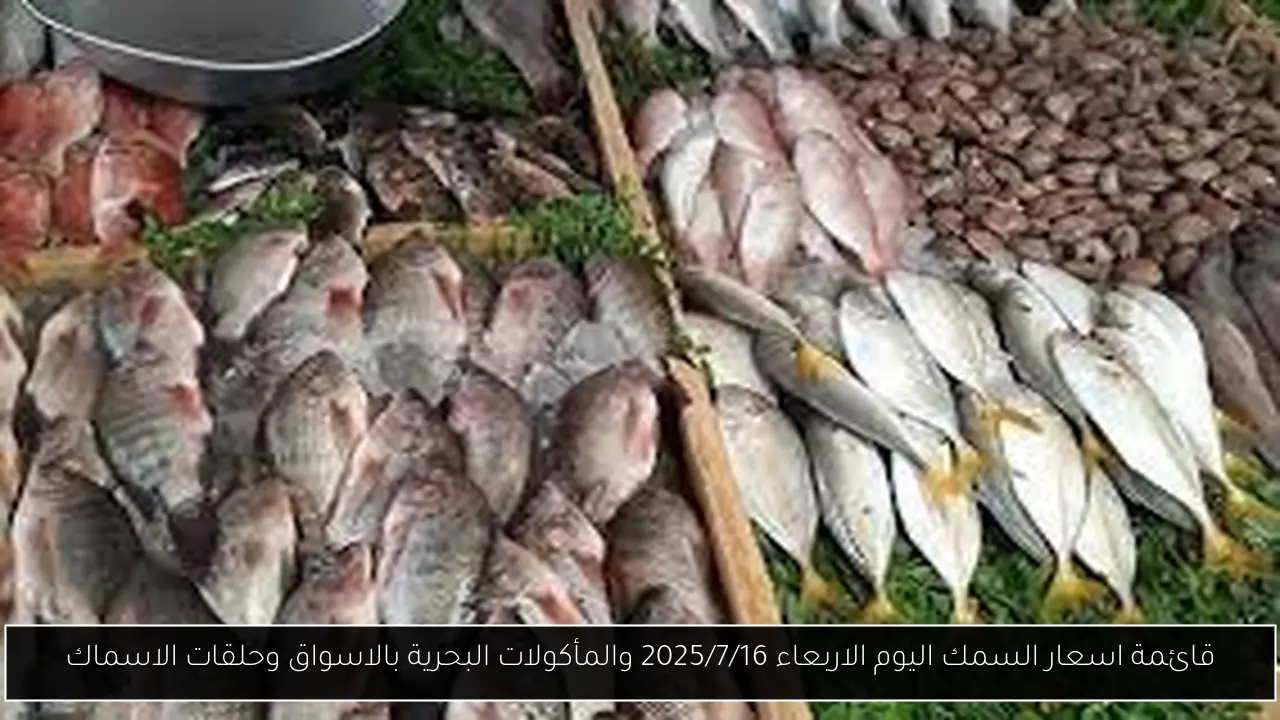 اسعار السمك اليوم