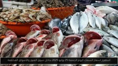 اسعار السمك اليوم