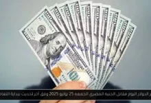 سعر الدولار في بالبنوك المصرية