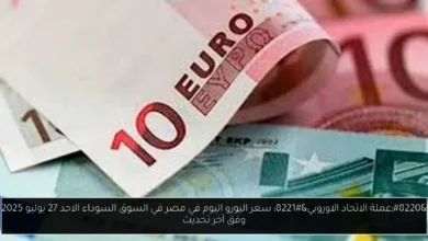 سعر اليورو اليوم في مصر في السوق السوداء