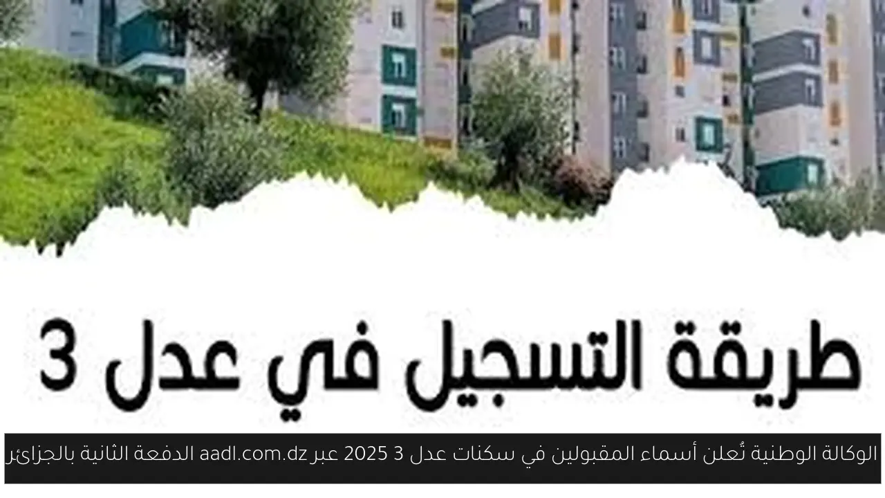 عدل 3 2025
