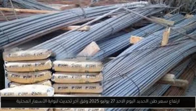 سعر طن الحديد اليوم