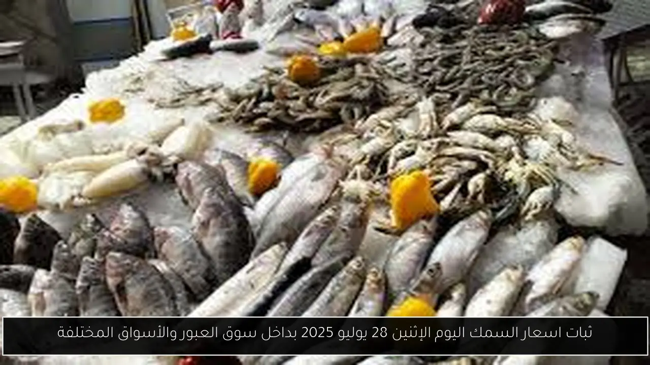 اسعار الجمبري اليوم