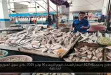 اسعار السمك اليوم